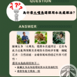 薩爾瓦多 大嘴鳥